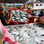 IMG-20250414-WA0014