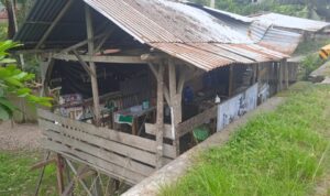 WARUNG